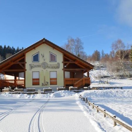 Le Chalet Du Bucheron Gérardmer Buitenkant foto